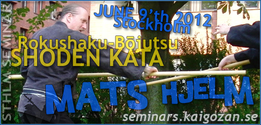 Bujinkan seminar sponsored by Kaigozan Dojo in Stockholm Sweden