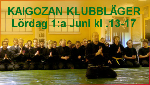 Bujinkan seminar sponsored by Kaigozan Dojo in Stockholm Sweden