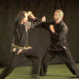 Huvudtemat för Januari är Kosshi kihon sanpō som består av tre stycken slag och spark tekniker från Gyokko-ryu moto kata. Teknikerna är korta och effektiva, och används för att bryta...