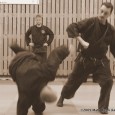 Huvudtemat för Februari i Kaigōzan dōjō är 捕手基本五法 Toride kihon gohō, fem grepp och kasttekniker från Bujinkan skolorna. Teknikerna är korta och förenklade från en situation där antagonisten greppar jackan...