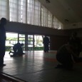 Hallå där hemma. Jag pep iväg till Japan förra veckan för att träna med Hatsumi Soke och Shihan’s. Jag har hunnit med 16 träningar, det blir 2 till sista dagen...