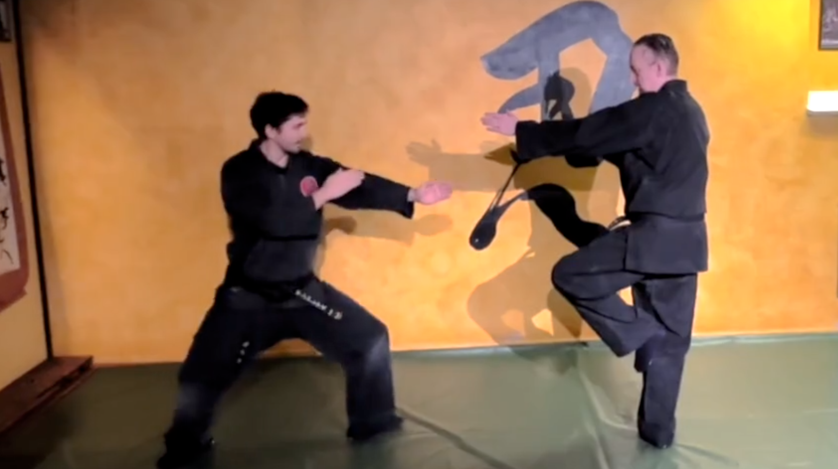 Kihon Happo 2/8 Hicho Kata